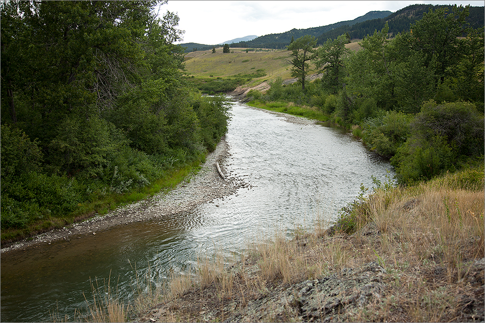 Crowsnest River