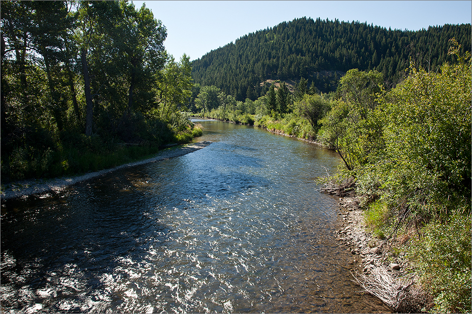 Crowsnest River