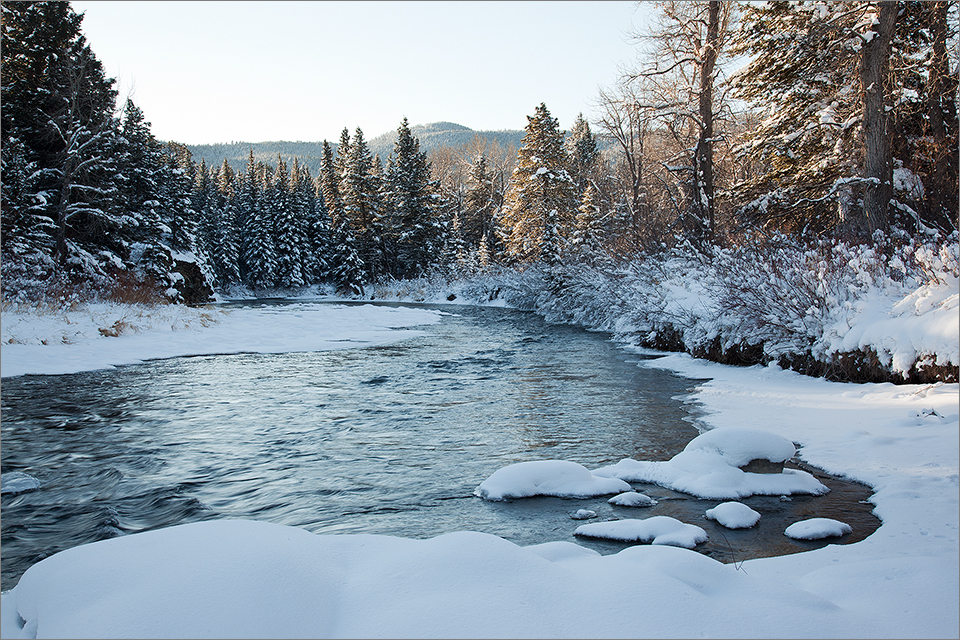 Crowsnest River In Winter