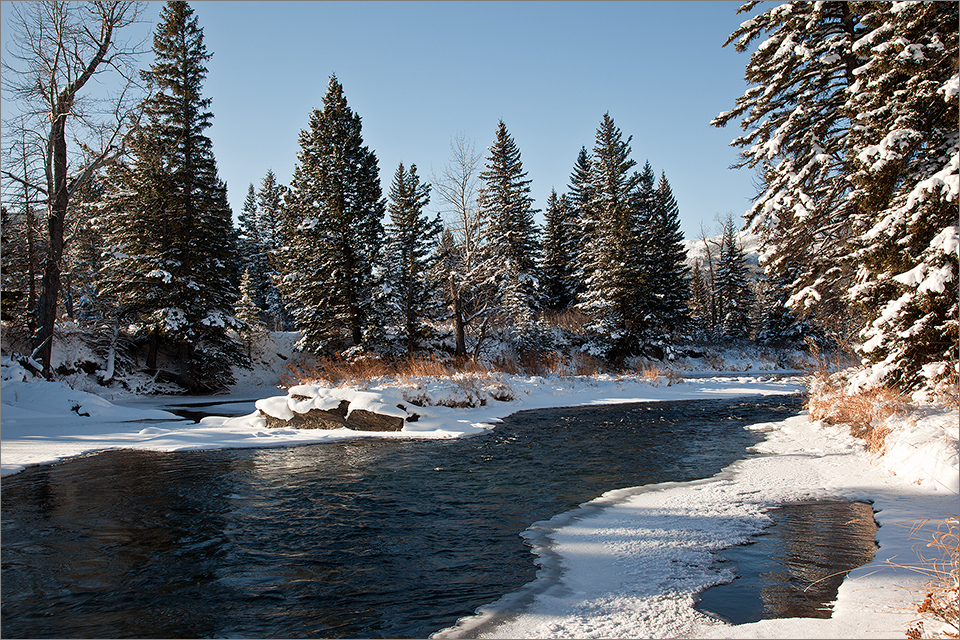 Crowsnest River In Winter