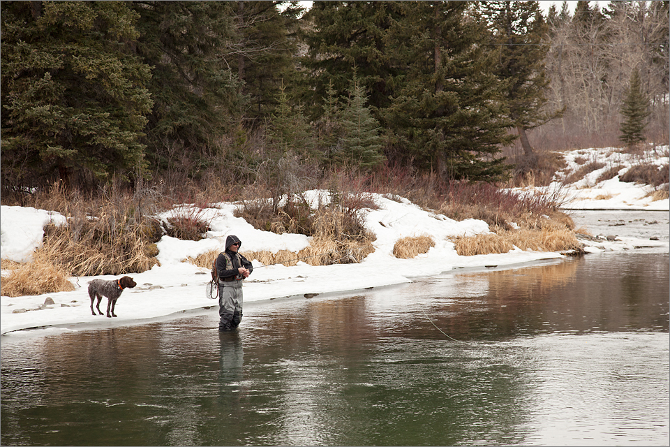 Fly-fishing on the Crowsnest River