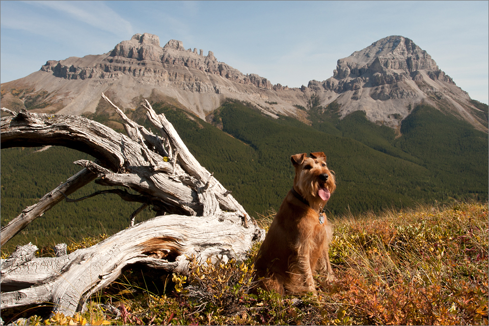 High in the hills of Crowsnest Pass