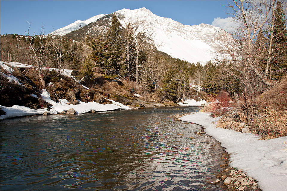 Crowsnest River open to fishing year-round