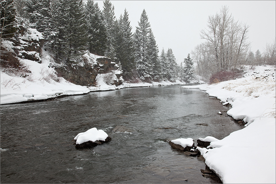 Chilly waters - Crowsnest River