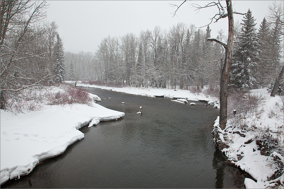 East Hillcrest Bridge - Crowsnest River