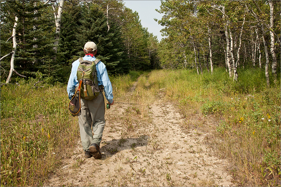 Following the jeep trail