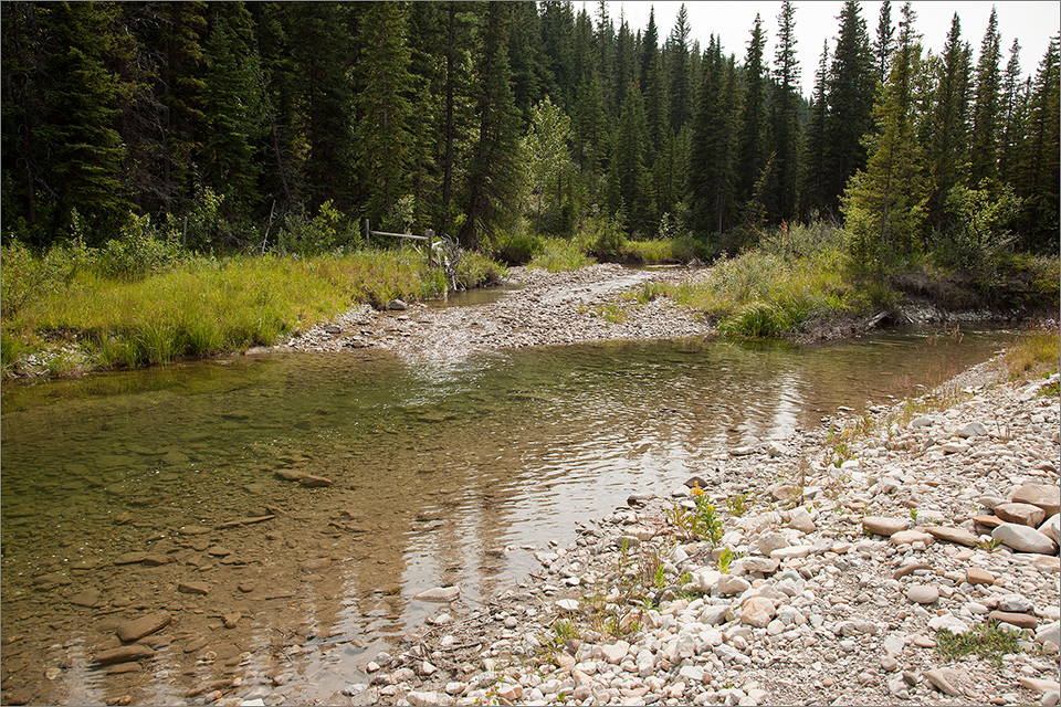 Confluence of the South Fork of Lee Creek