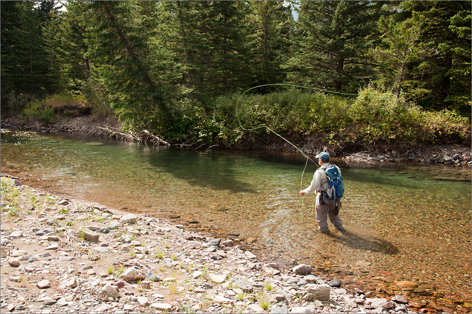 Casting to rising trout