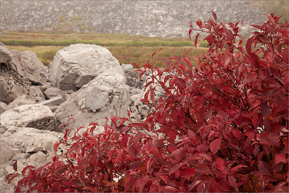 Boulders, rocks, & red leaves