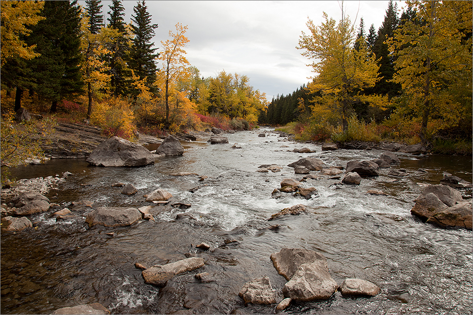 Crowsnest River near Turtle Mountain II