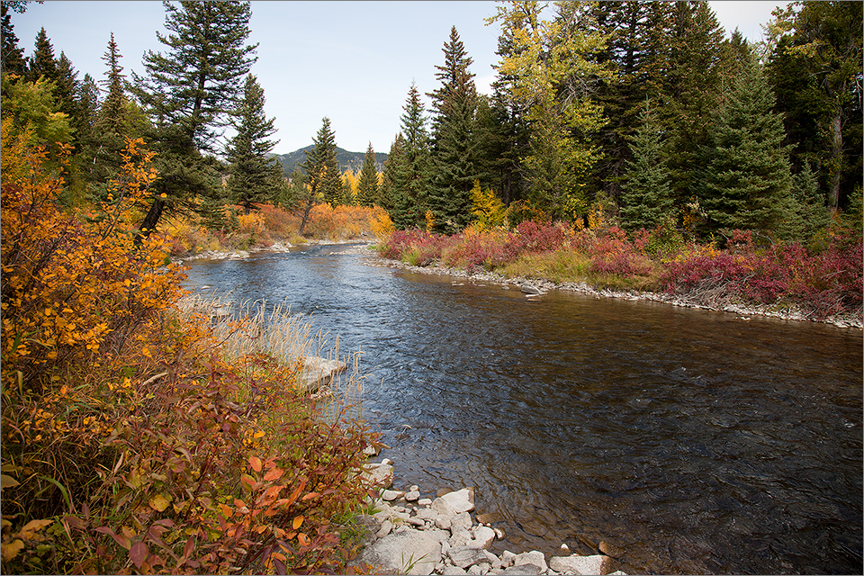 Crowsnest River near Hillcrest