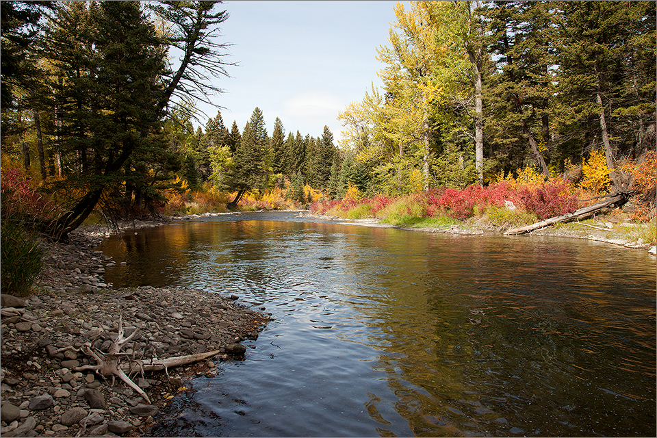 Crowsnest River near Hillcrest II