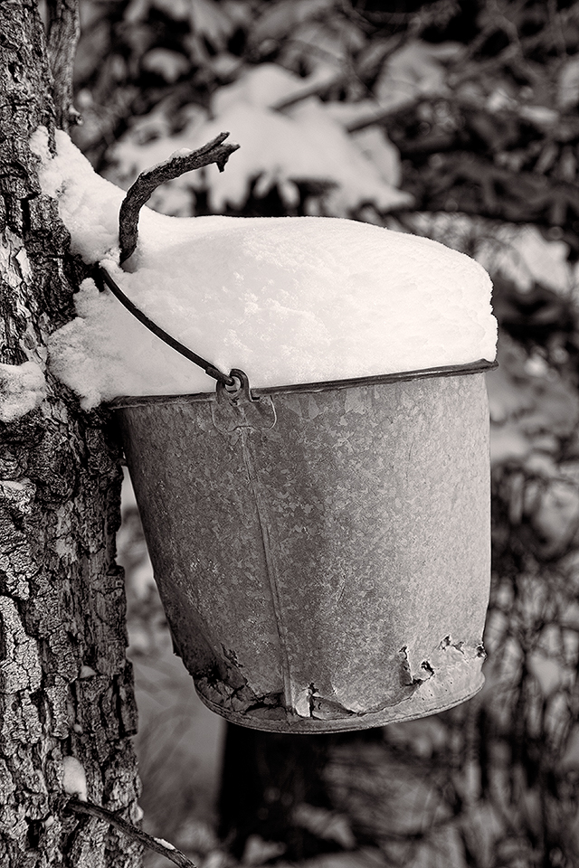 Snow Bucket