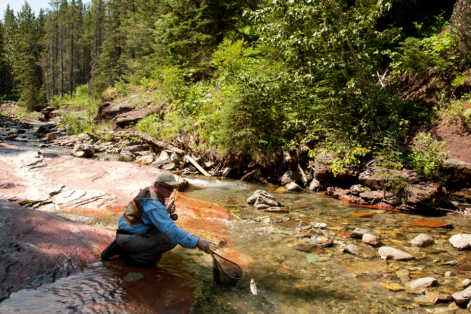 Bamboo Trout – Part I