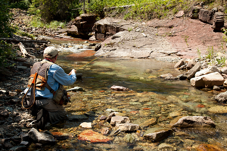 Bamboo Trout – Part I